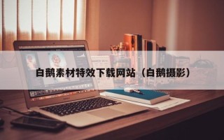 晋中白鹅素材特效下载网站（白鹅摄影）